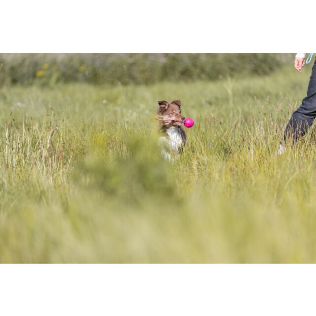 Trixie Soft & Strong Ball am Gurt - 29 cm