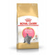 Royal Canin Feline British Shorthair Kitten - 400 g