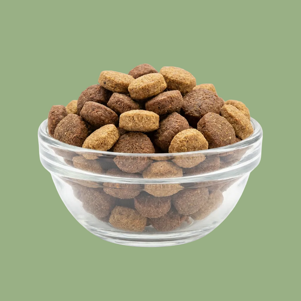 Garnelenfutter