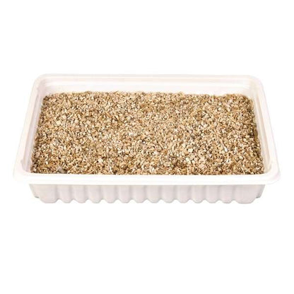 Trixie Katzengras-Schale, ca. 100 g