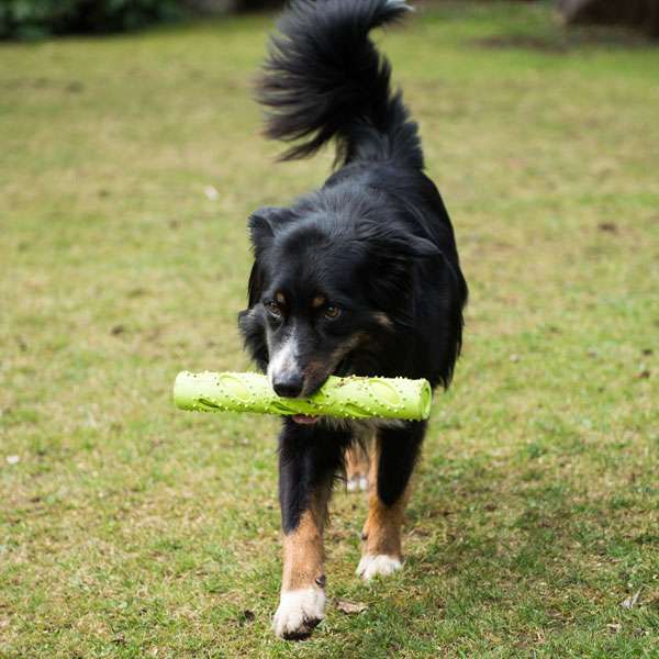 PROCYON TPR Dummy - grün