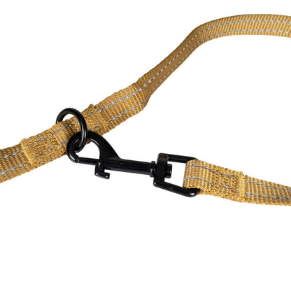 Duvoplus Trainingsleine EXPLOR Ultimate Fit Classic - honey gold - 220cm - 25mm