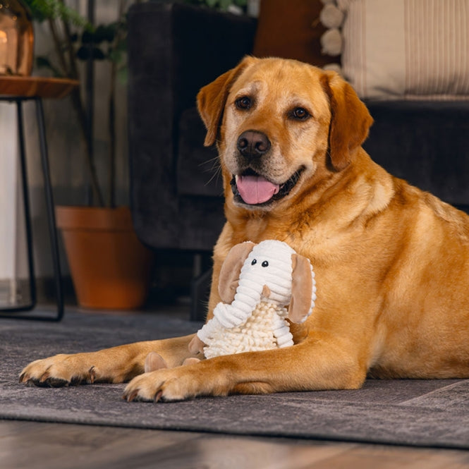 Beeztees Eco Kuscheltuch Nory