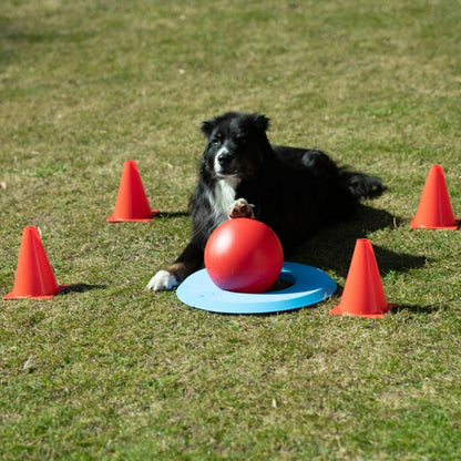 PROCYON Dog Golf Set
