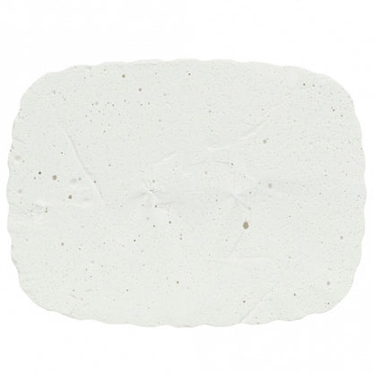 Trixie Pickstein mit Muscheln - 200 g