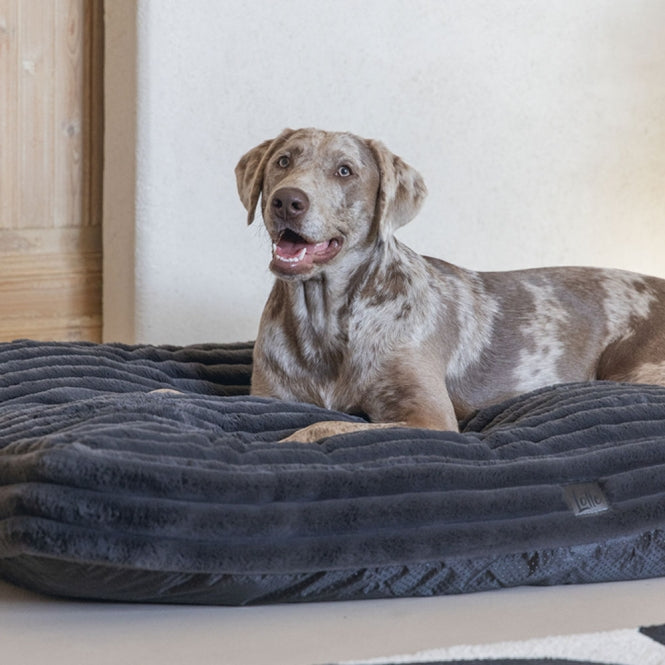 Designed by Lotte Hundekissen Reza - Anthrazit - 120 x 80 cm