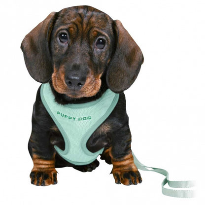 Trixie Junior Welpen-Softgeschirr mit Leine - hellgrau