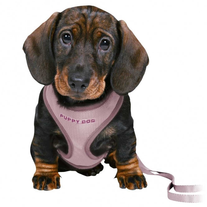 Trixie Junior Welpen-Softgeschirr mit Leine - flieder