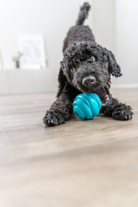 Trixie Super Strong Ball - 6 cm