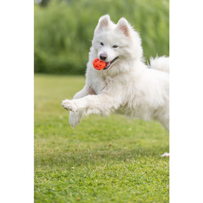 Trixie Wabenball aus TPE - 6cm
