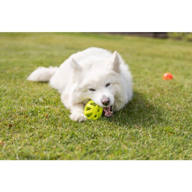 Trixie Wabenrugby aus TPE - 11cm