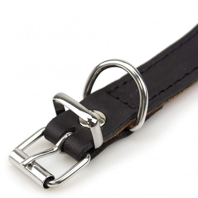Karlie Rondo Windhund-Halsband - Schwarz - 40cm/50mm