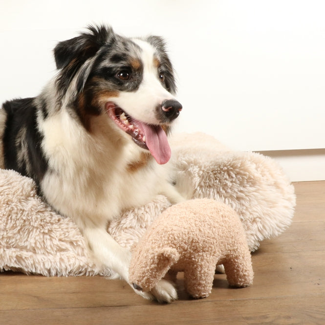 D&D Hundespielzeug Banjo Teddystoff - beige - L - 30x18x20cm