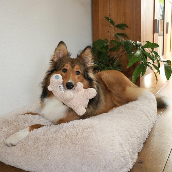 D&D Hundespielzeug Banjo Teddystoff - beige - L - 30x18x20cm