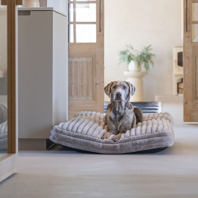 Designed by Lotte Hundekissen Reza - Beige - 120 x 80 cm