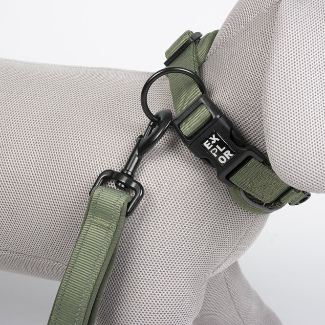 Duvoplus EXPLOR Ultimate Fit Control Halsband Classic - undercover green - XS - 30-33cm
