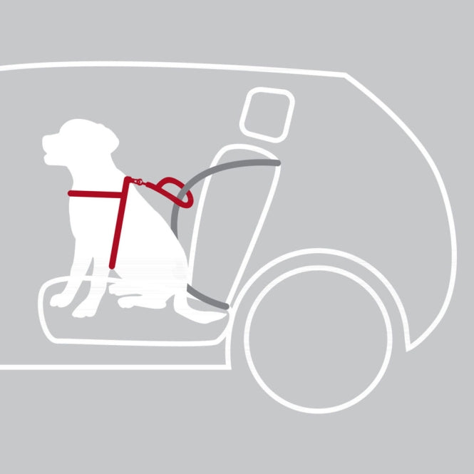 Trixie Auto-Sicherheitsgeschirr Dog Protect - M: 50-65 cm