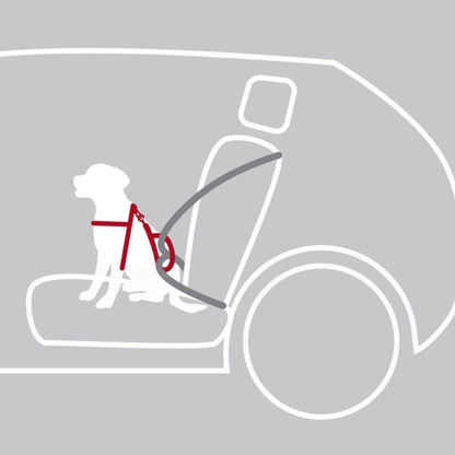 Trixie Auto-Sicherheitsgeschirr Dog Protect - M: 50-65 cm