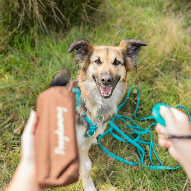 Trixie Preydummy - Canvas, Braun - 6 x 14 cm