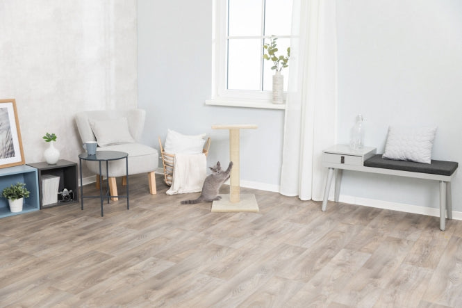 Trixie Kratzstamm Baena - Beige