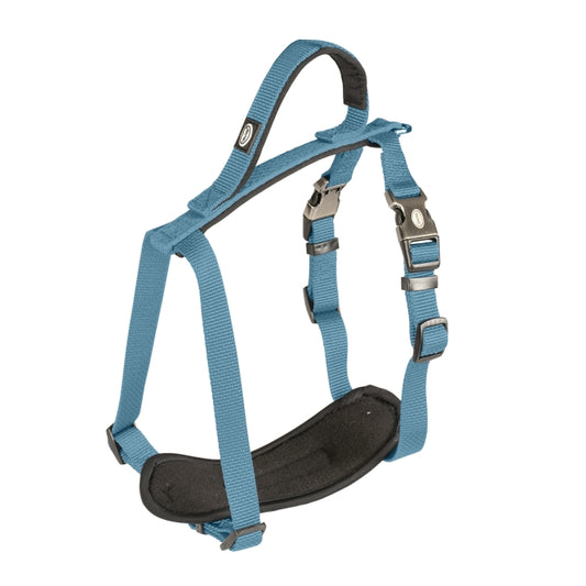 Duvoplus EXPLOR North Geschirr - Petrolblau - 30-40cm/15mm