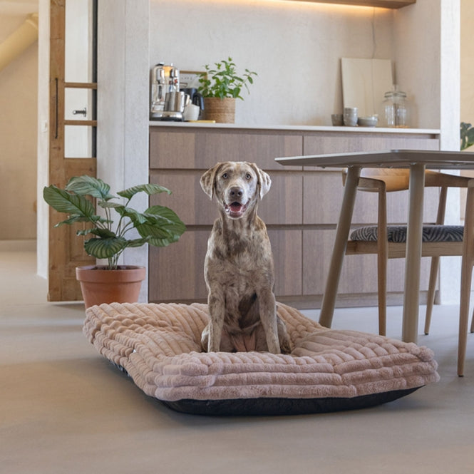 Designed by Lotte Hundekissen Reza - Rosa - 120 x 80 cm