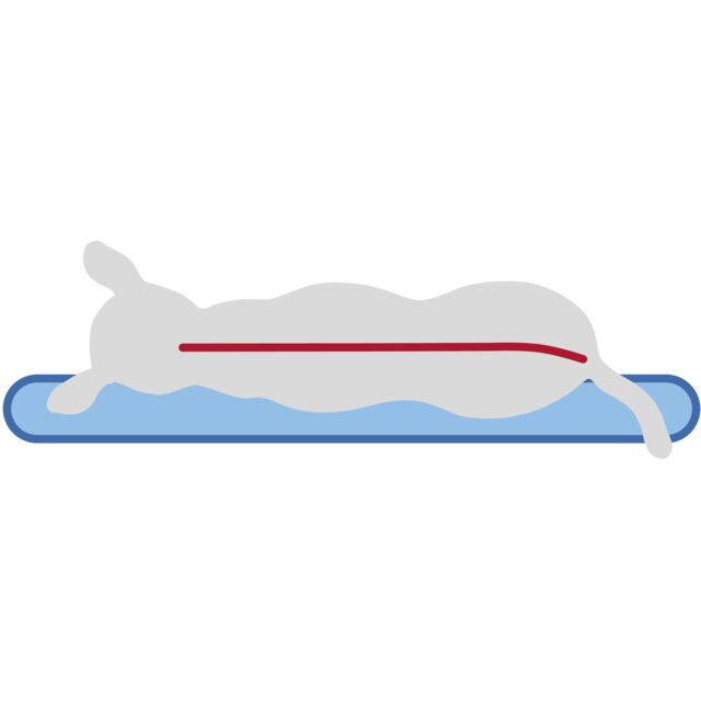 Trixie Vital Kissen Bendson - oval - 100 × 70 cm