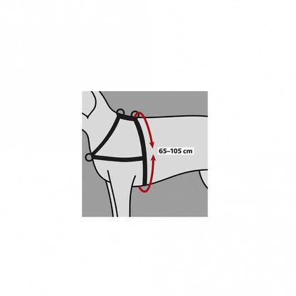 Trixie Trainingsgeschirr Lead'n'Walk Soft - L-XL