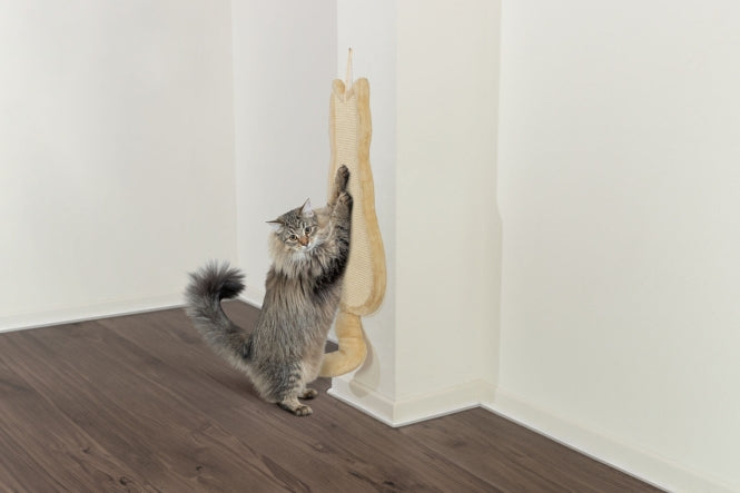 Trixie Kratzbrett Katze