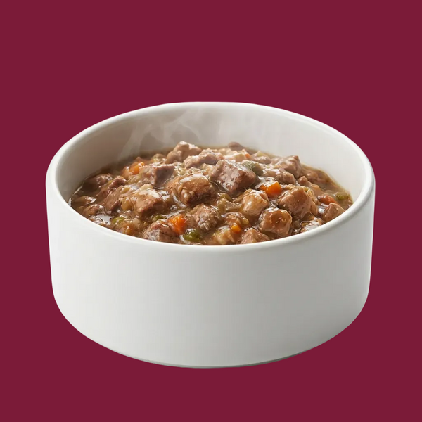 Nassfutter